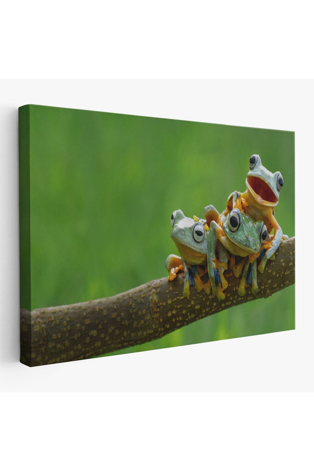 Küçük Kurbağalar Dekoratif Kanvas Tablo 1179
