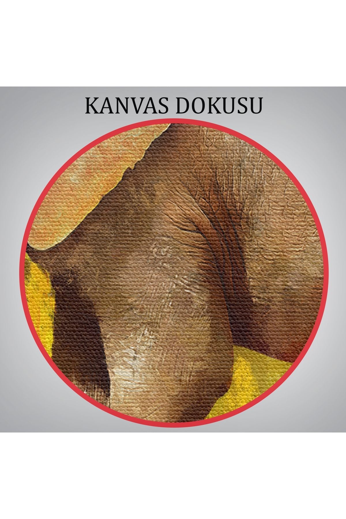 Modern Sanat Tarzı Yürüyen Fil Yağlıboya Görünüm Kanvas Duvar Tablosu-3688