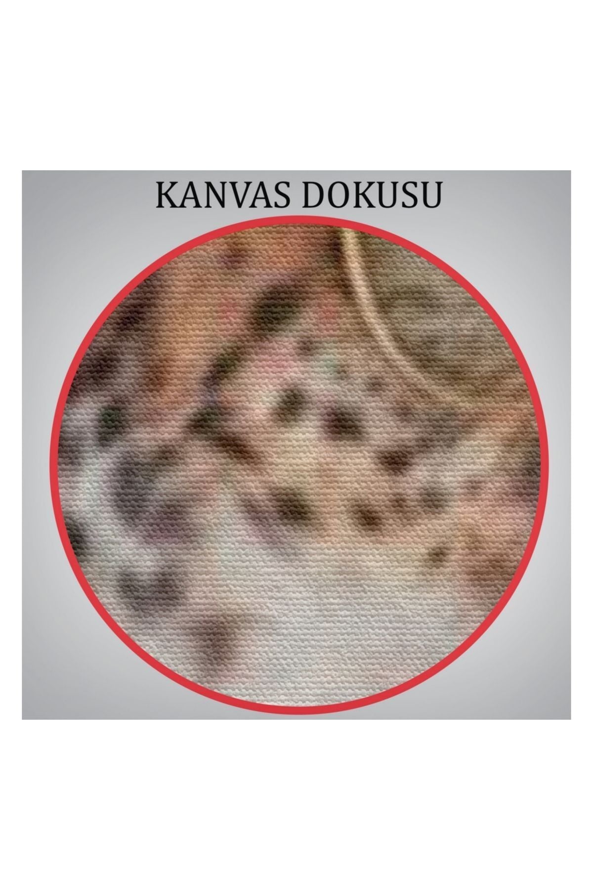 Kanvas Tablo, Duvar Dekoru, Çiçek Taçlı Sosyetik Kokoş Çita 6049 BUNGKNV