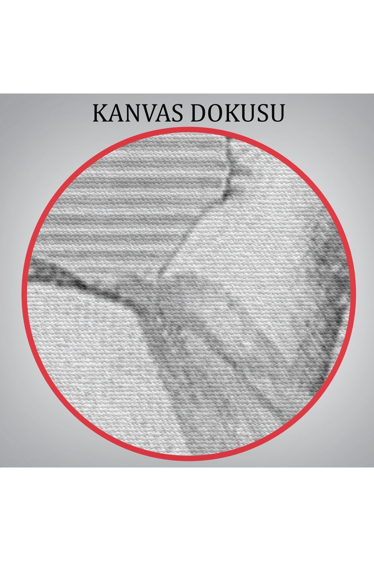 HG Süpürgedeki Cadı, Gotik Sanat Çıplak Cadı Duvar Tablosu-5190