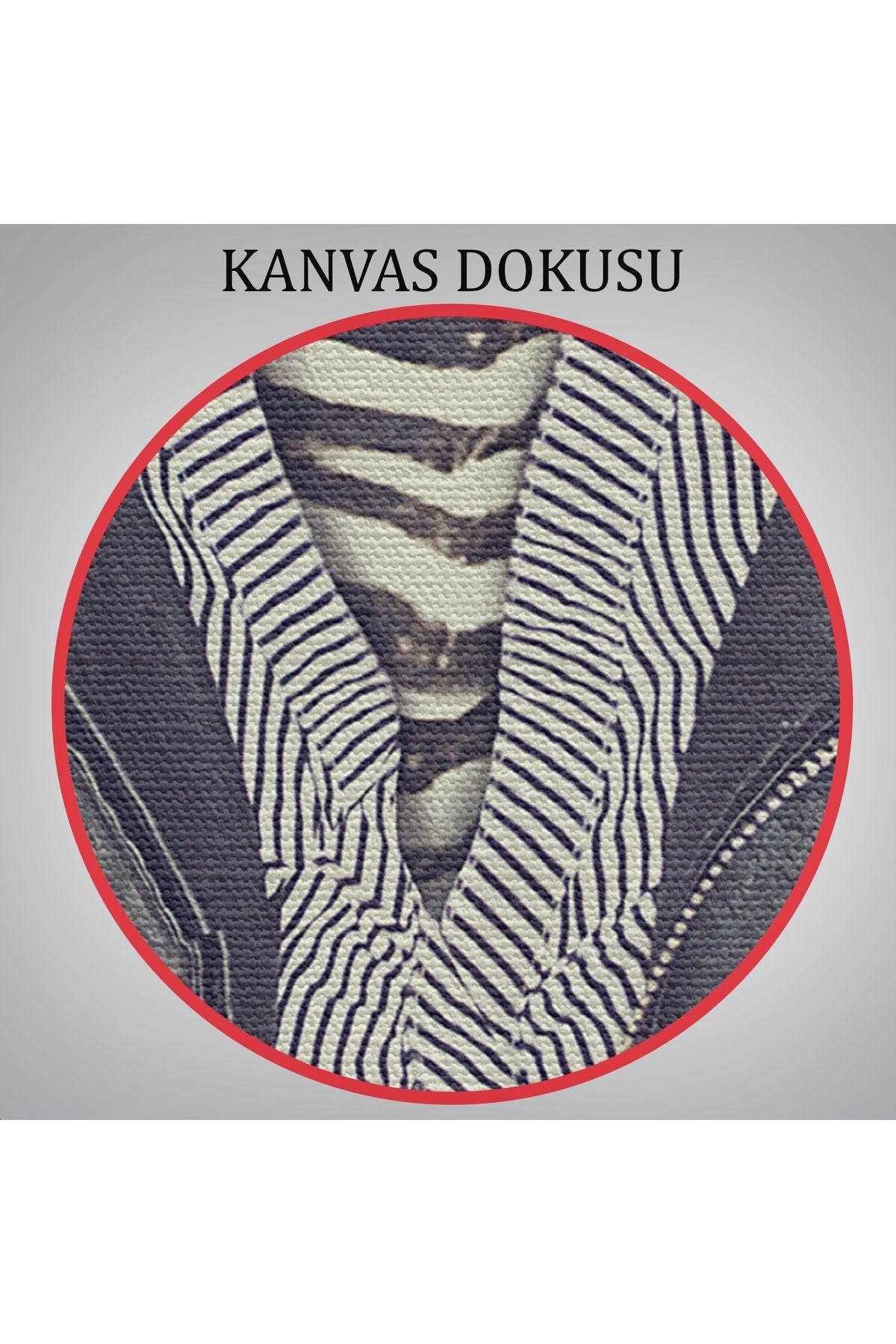 Zebra Kafalı İnsan Kanvas Tablo-4982