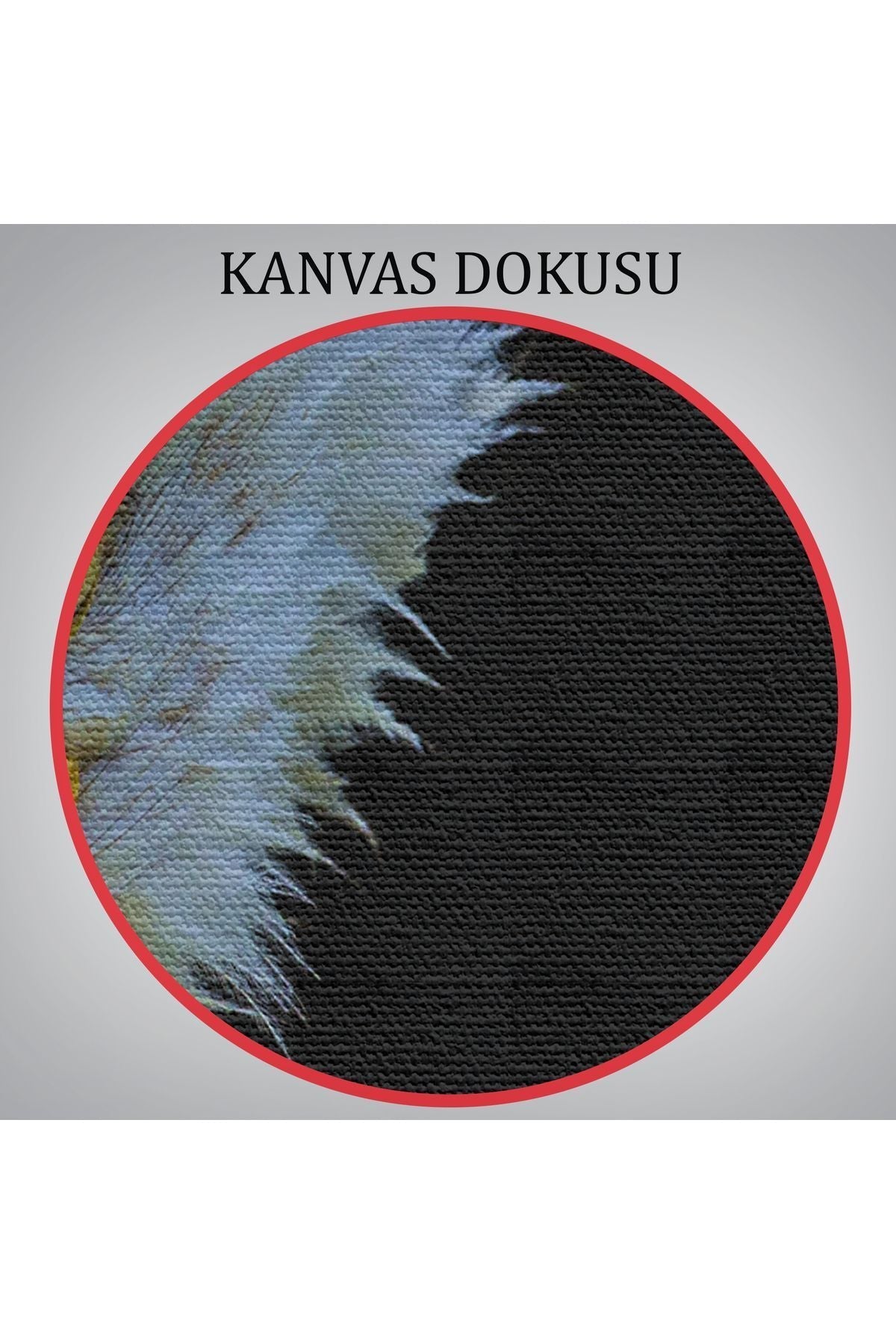 Kartal Dekoratif Kanvas Tablo 1132