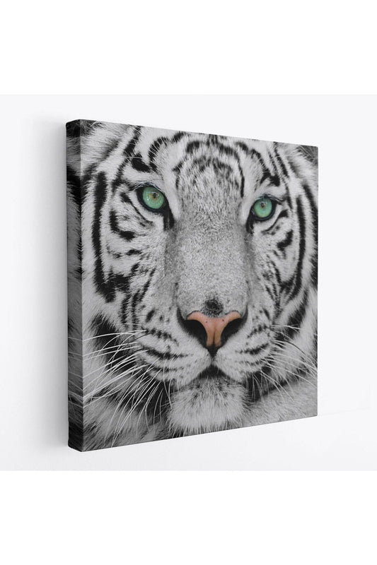 Kaplan Dekoratif Kanvas Tablo-5807