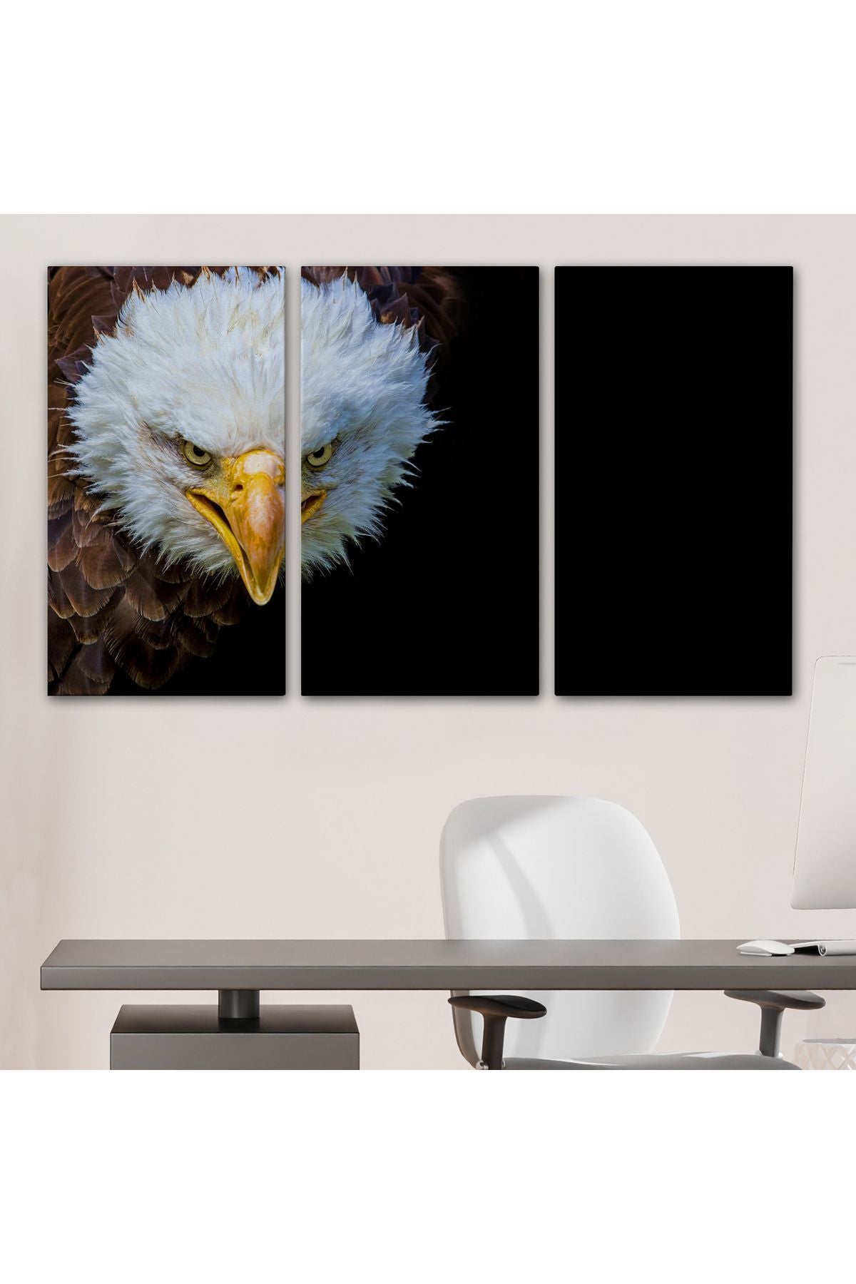 Kartal Dekoratif Kanvas Tablo 1132