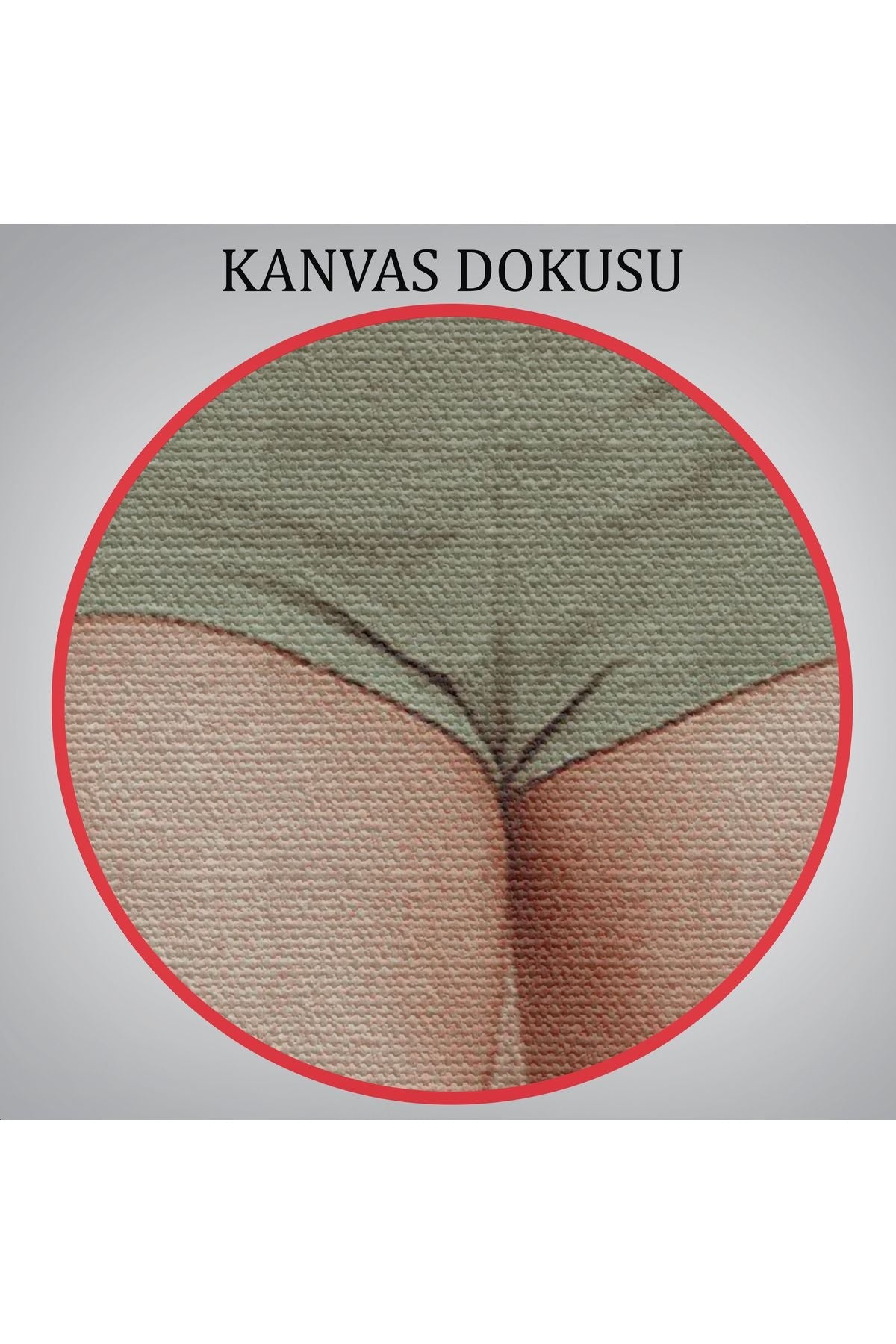 Günümüz Modern Venüsü Dekoratif Duvar Tablosu-6137