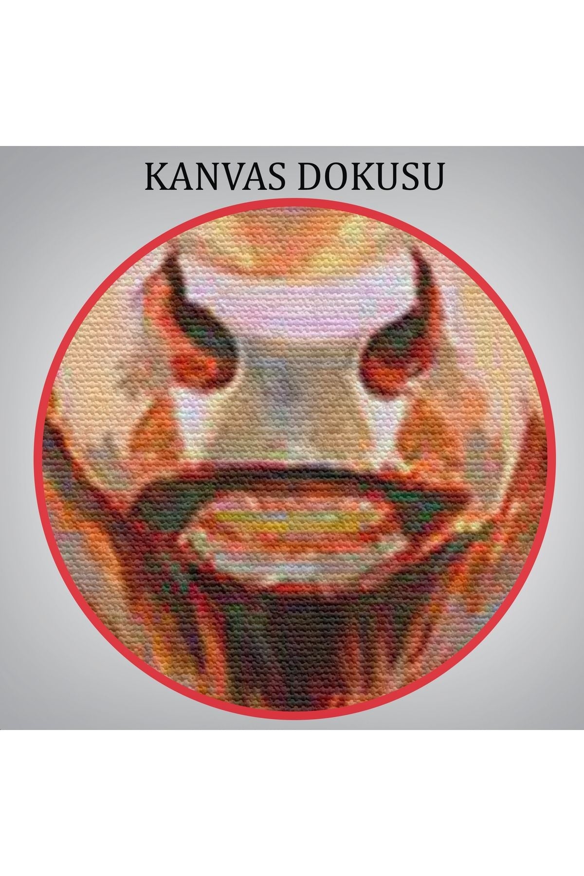 HG Pembe Ceketli Boğa Duvar Tablosu-6350