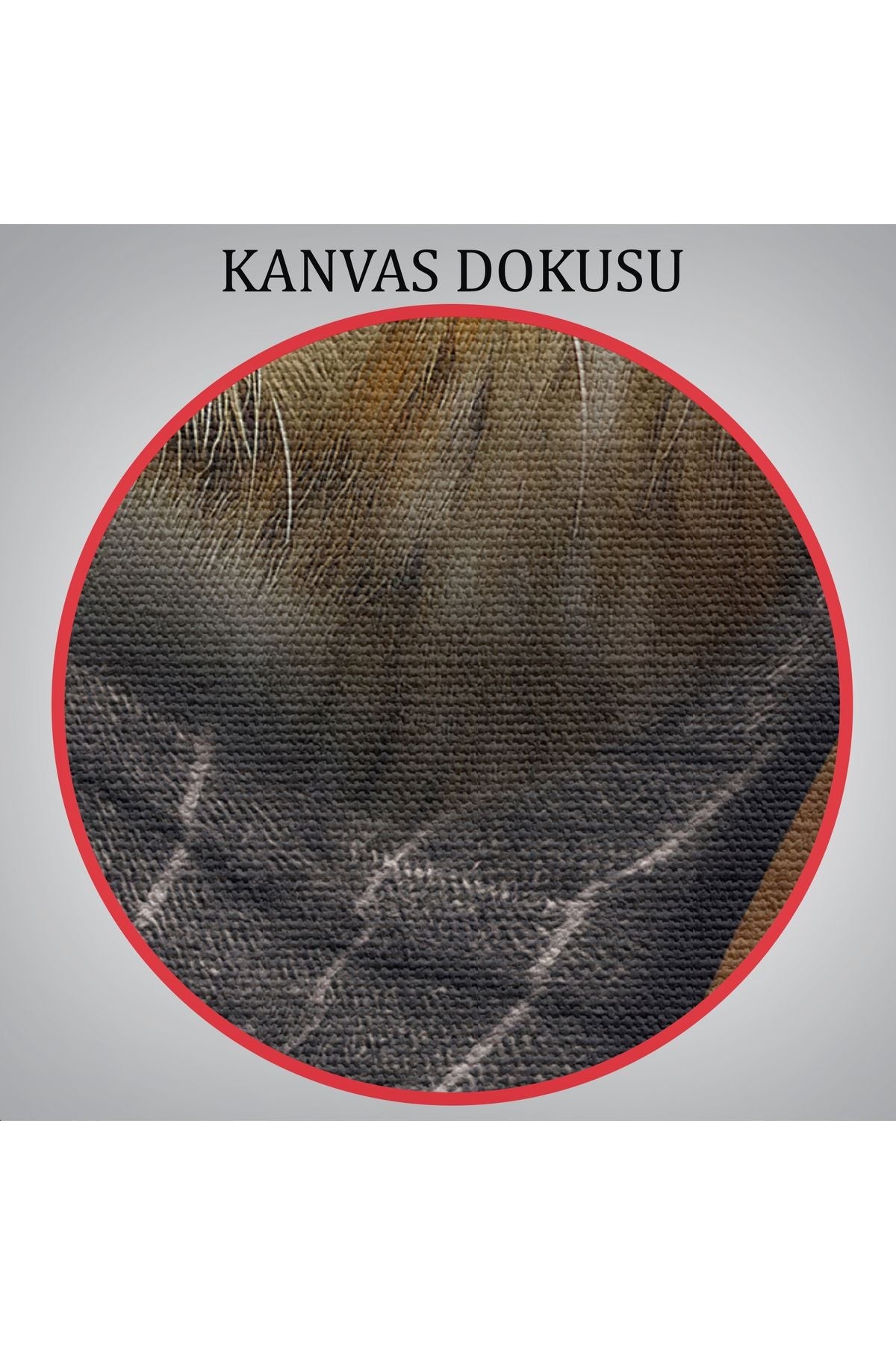 Kaplan Adam Dekoratif Kanvas Duvar Tablosu-5938