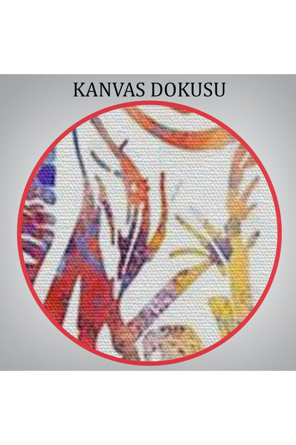 Suluboya Diş Anatomisi Tablosu-6020
