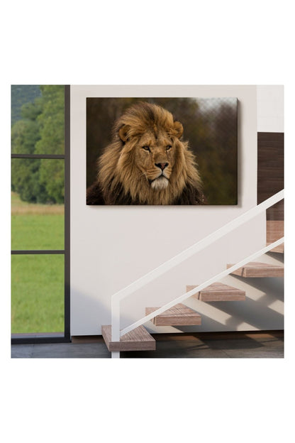 Kanvas Tablo, Duvar Dekoru, Aslan, Hayvan Temalı 1159 BUNGKNV