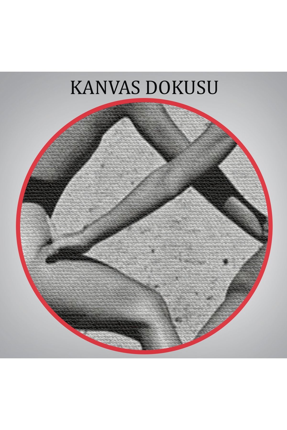 Helmut Newton Moda Rudi Gernreich, Miami 1975-6584