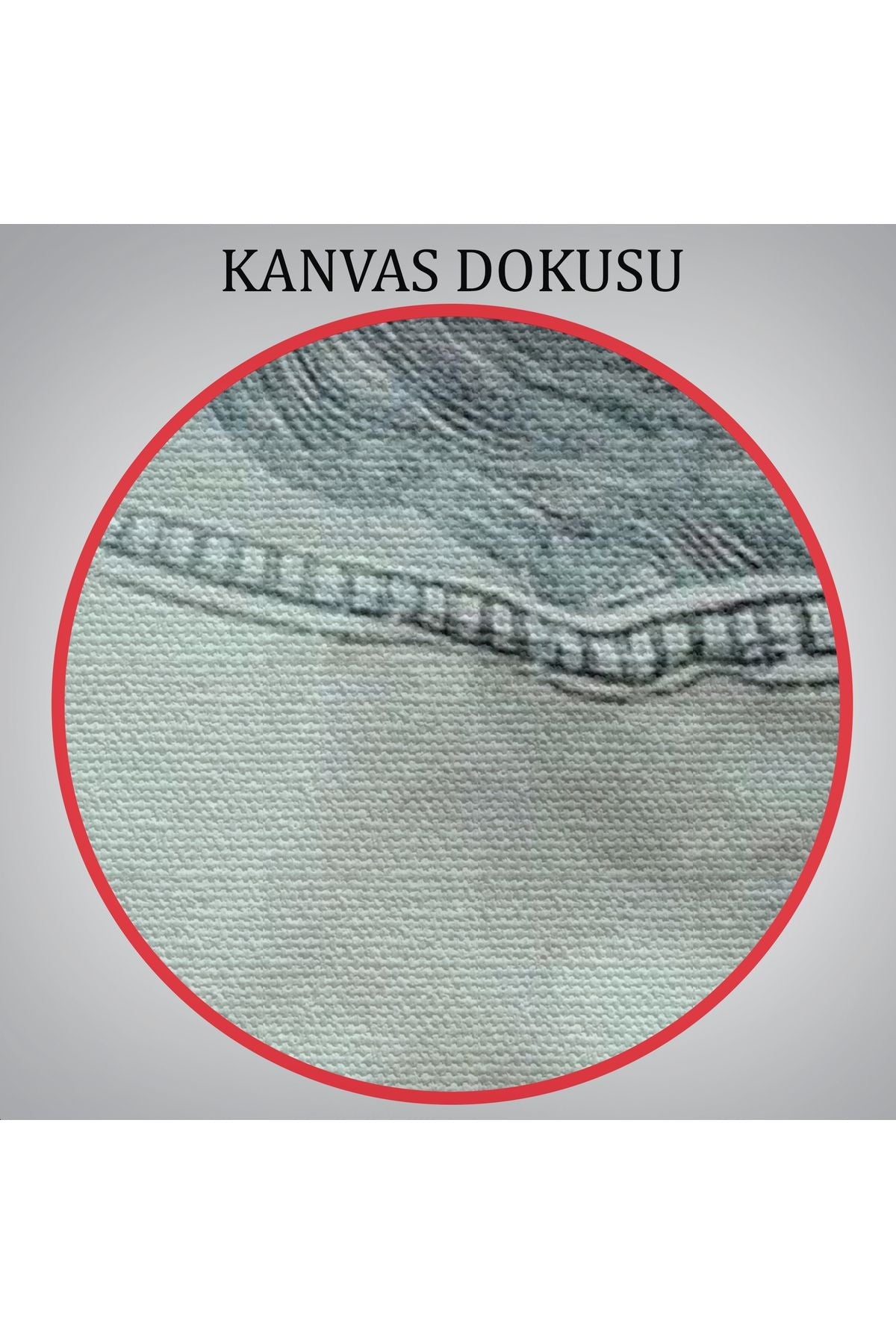 Ağzın da Dolar Olan Kadın Duvar Tablosu-6260