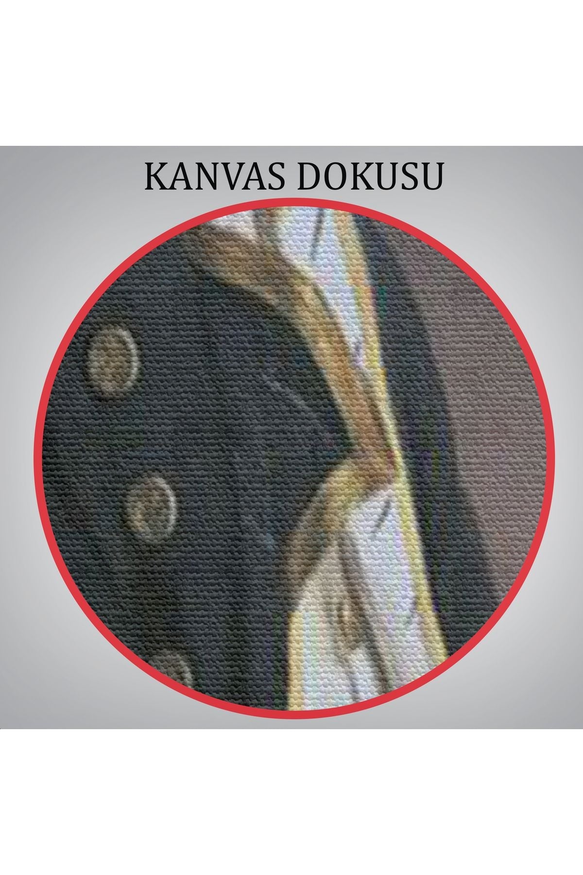 İngiliz Amiral Horatio Nelson Dekoratif Duvar Tablosu-6227