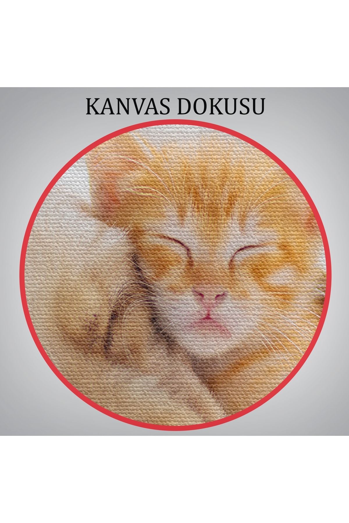 Golden Köpek İle Uyuyan Yavru Kedi Dekoratif Kanvas Tablo 1176