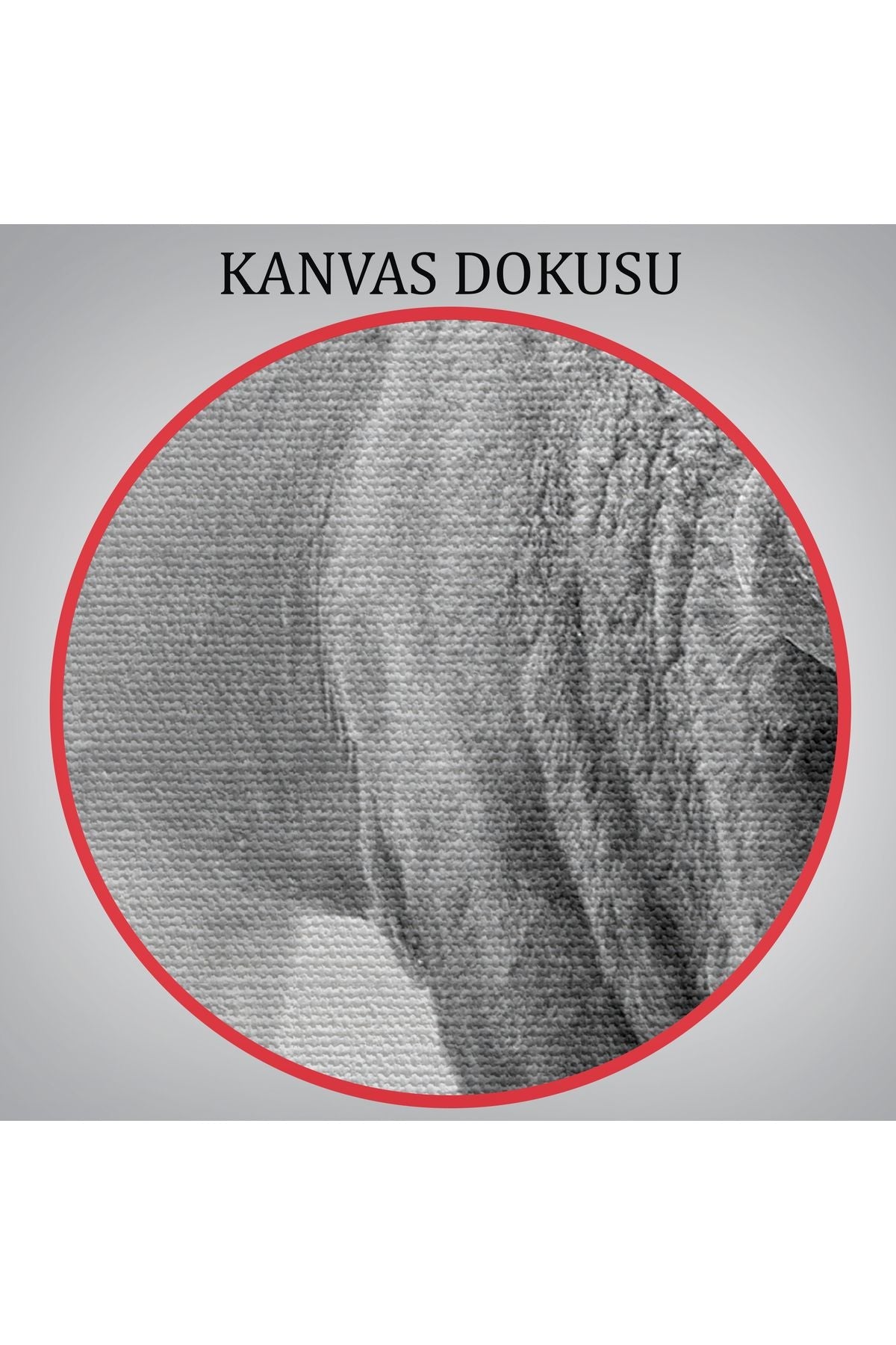 Bizon Dekoratif Kanvas Tablo