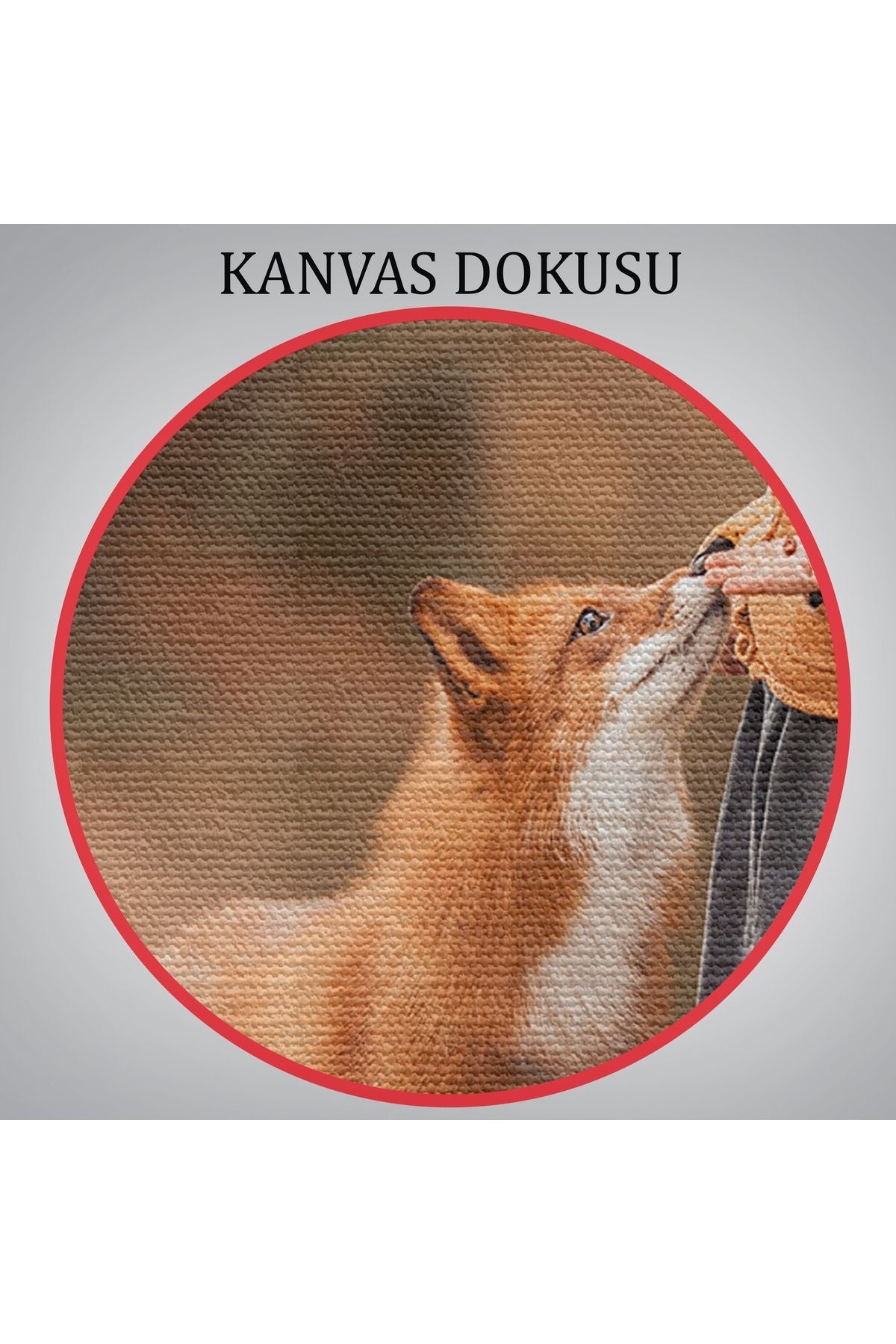 HG Küçük Kız ve Tilki Dekoratif Kanvas Tablo 1147