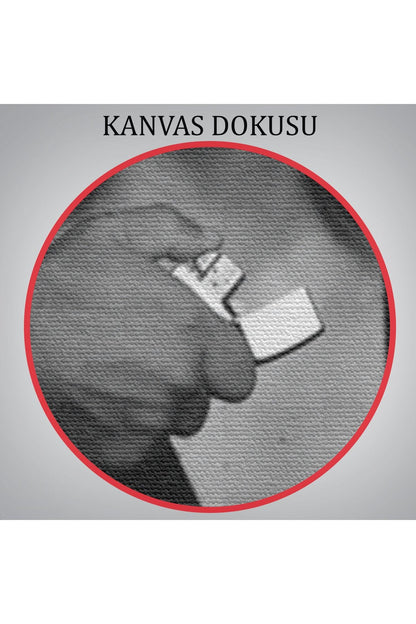 Lana Del Rey Dekoratif Duvar Tablosu-6372