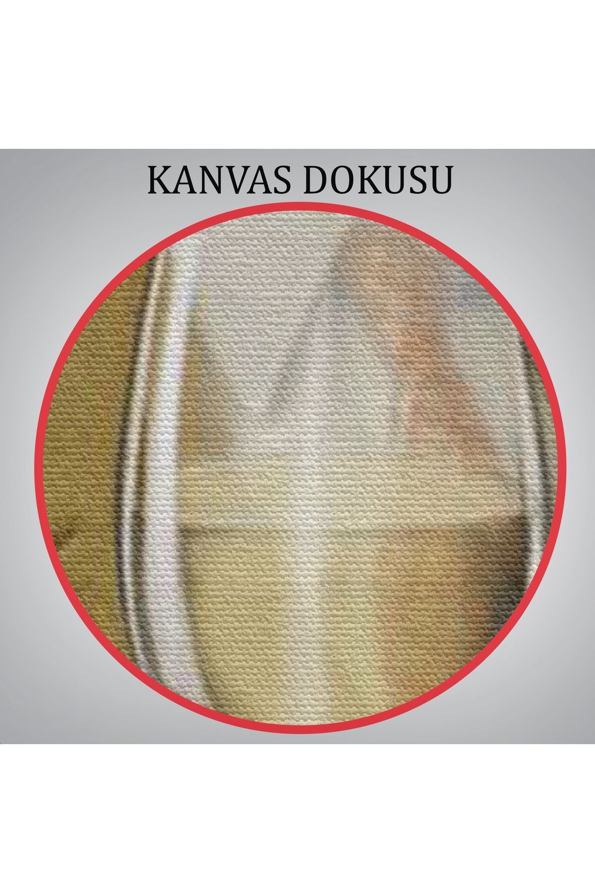 İnsan Kıyafetli Dana Dekoratif Duvar Tablosu -6375