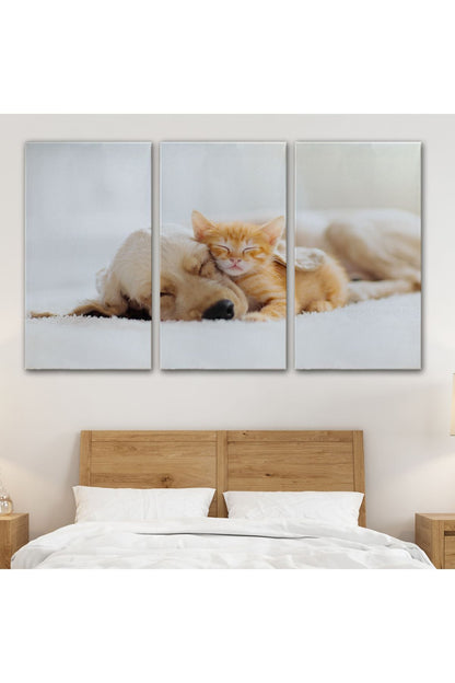 Golden Köpek İle Uyuyan Yavru Kedi Dekoratif Kanvas Tablo 1176