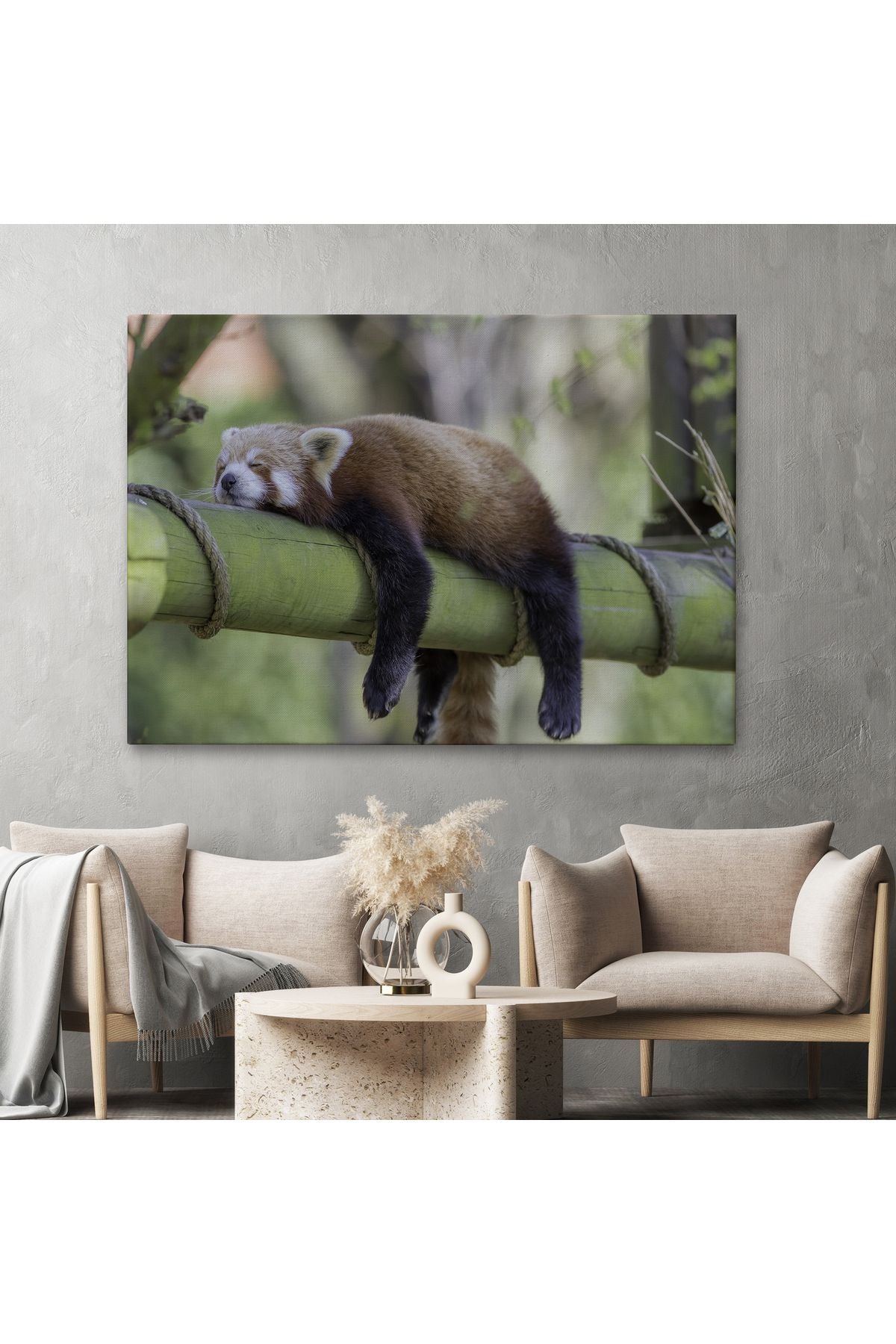 Kırmızı Panda Dekoratif Kanvas Tablo 1140