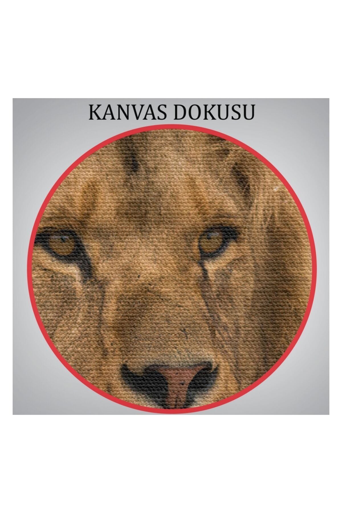 Kanvas Tablo, Duvar Dekoru, Aslan, Hayvan Temalı 1159 BUNGKNV
