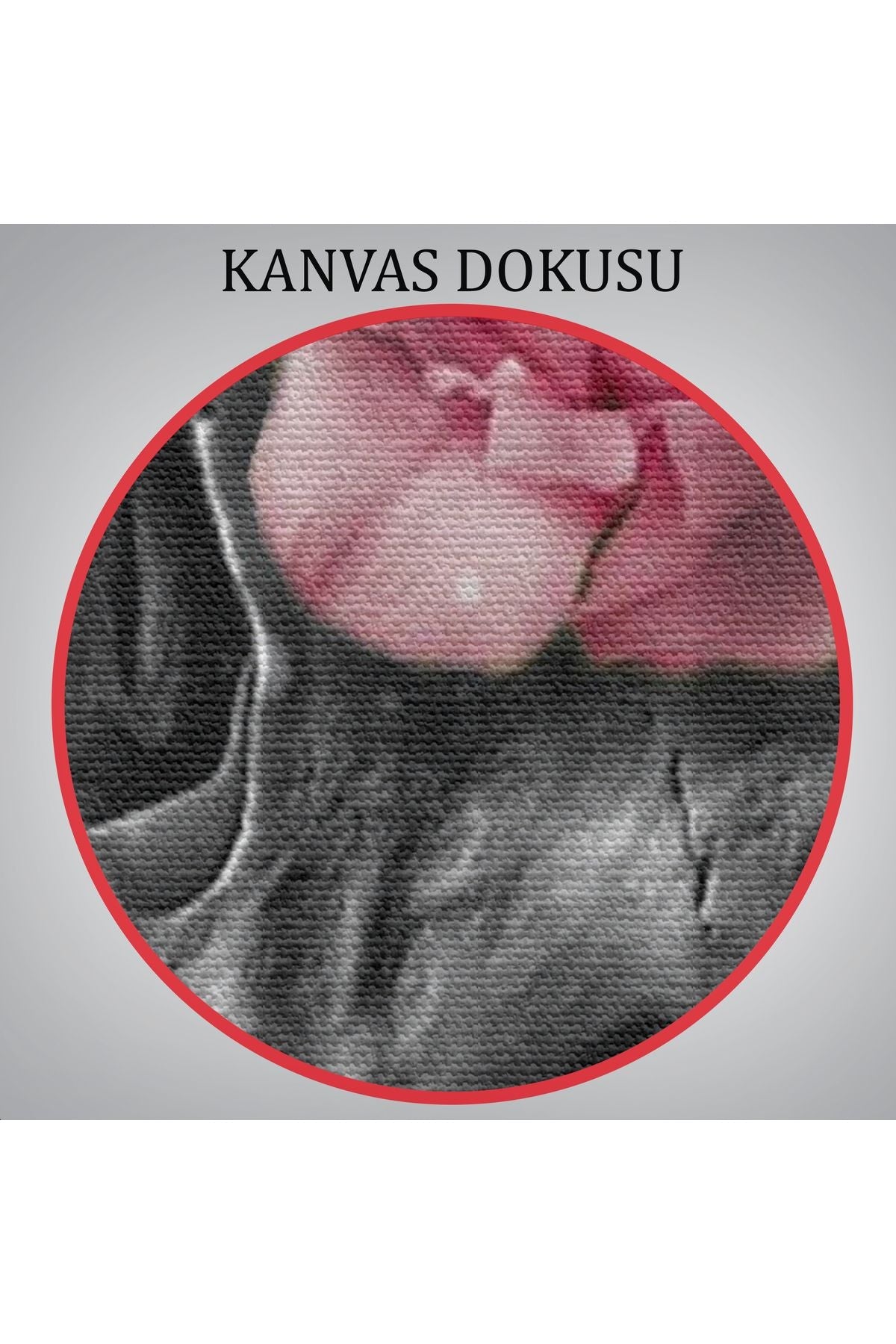 İskelet Kafa ve Pembe Çiçekler Kanvas Tablo Duvar Sanatı-5234