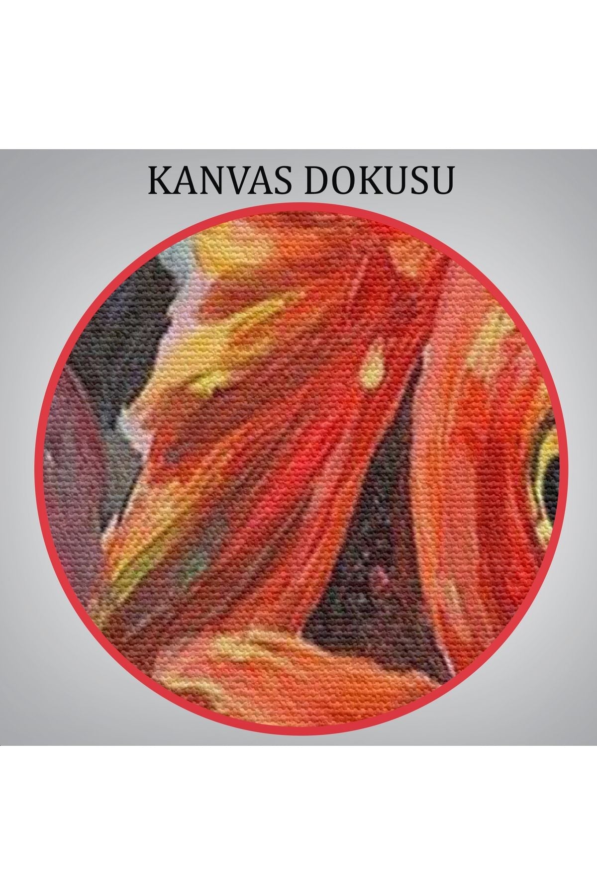 Kırmızı Rujlu Dudak Balon Içerisinde Turuncu Japon Balığı Duvar Tablosu-6293