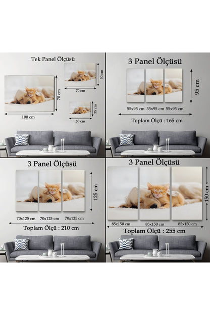 Golden Köpek İle Uyuyan Yavru Kedi Dekoratif Kanvas Tablo 1176