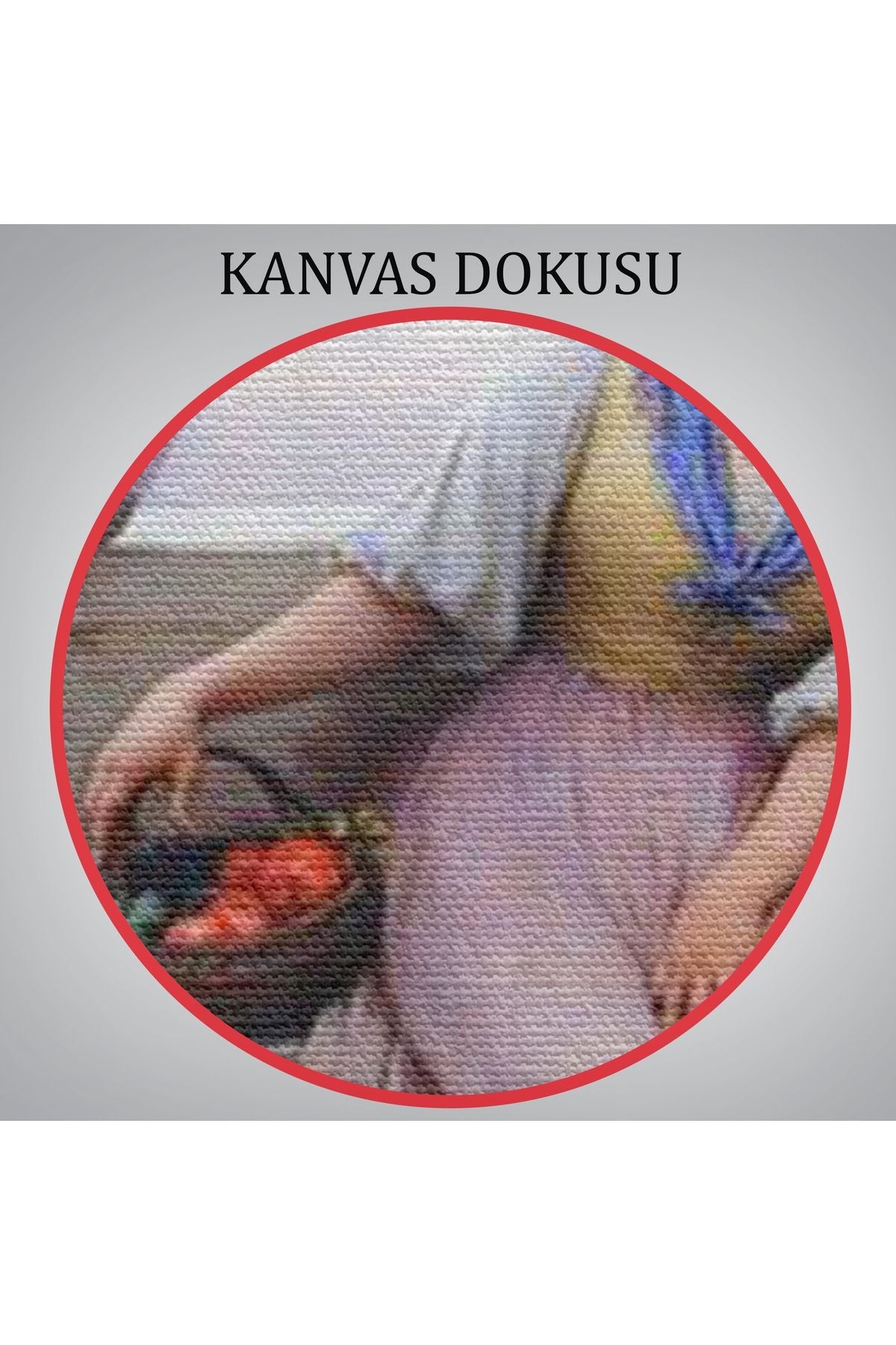Kadın Tablosu-6526