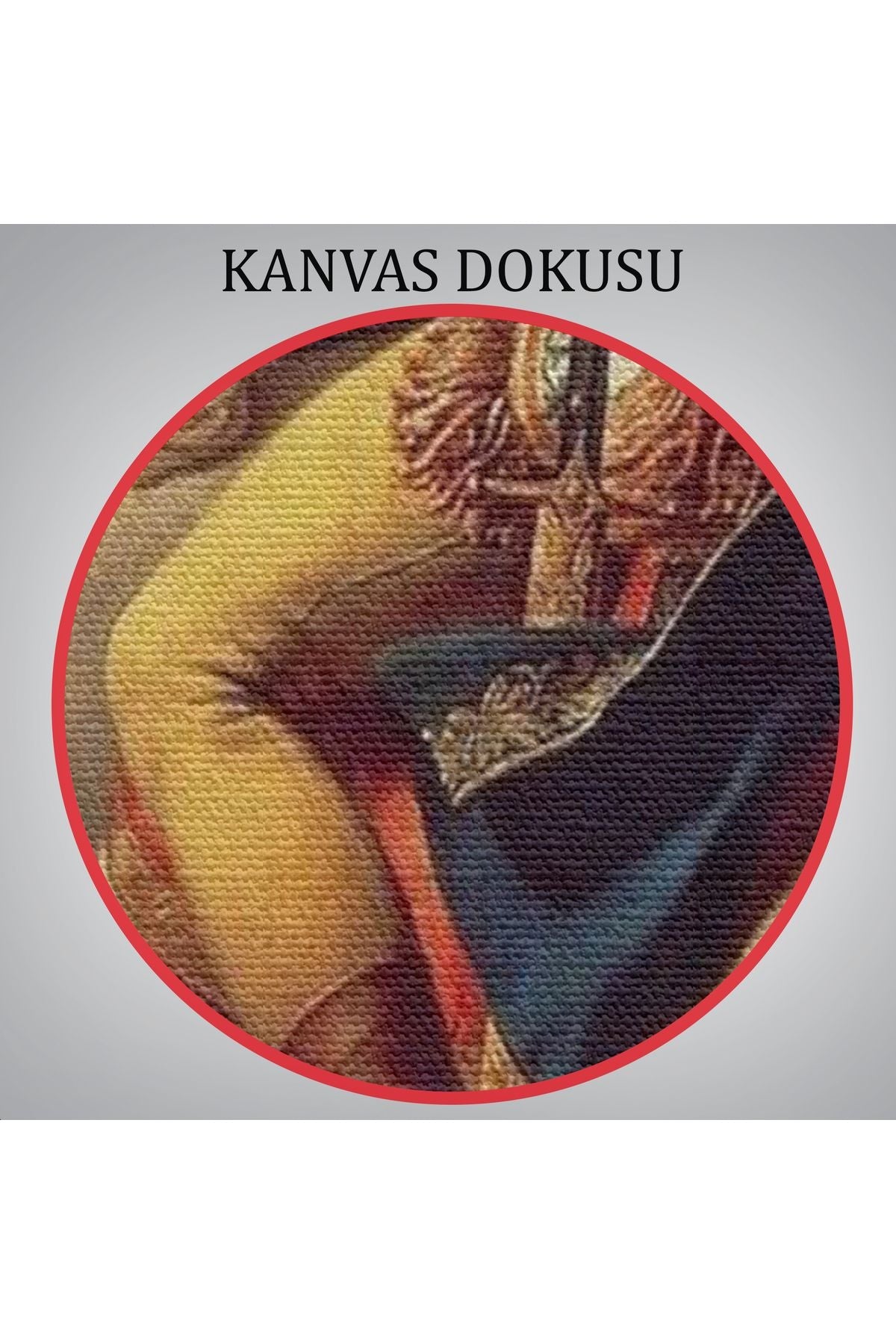 Alpleri Aşan Napolyon Duvar Tablosu-6011
