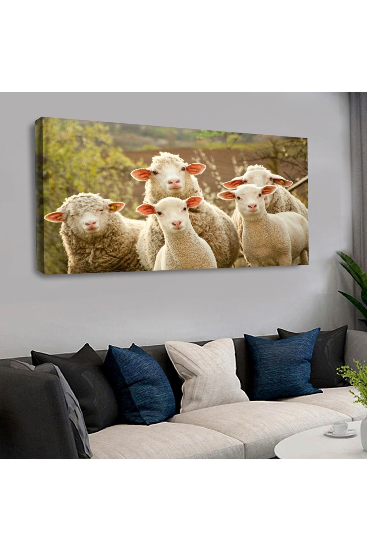Kanvas Sevimli Koyunlar Tablo