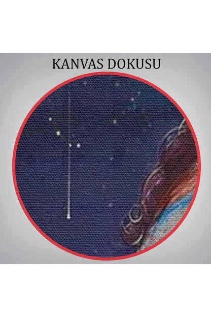 Lsm Seri001 Yıldız Toplayan Kız ve Kedi Dekoratif Duvar Tablosu-6129