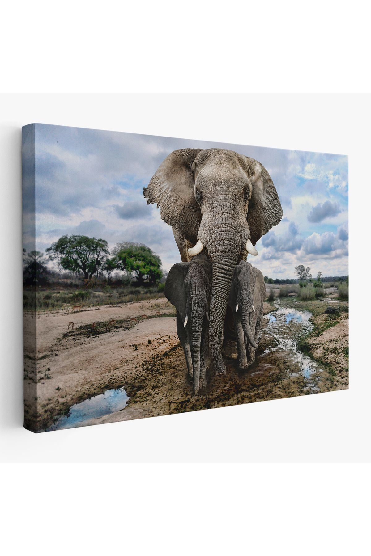 Fil ve Yavruları Dekoratif Kanvas Tablo 1134