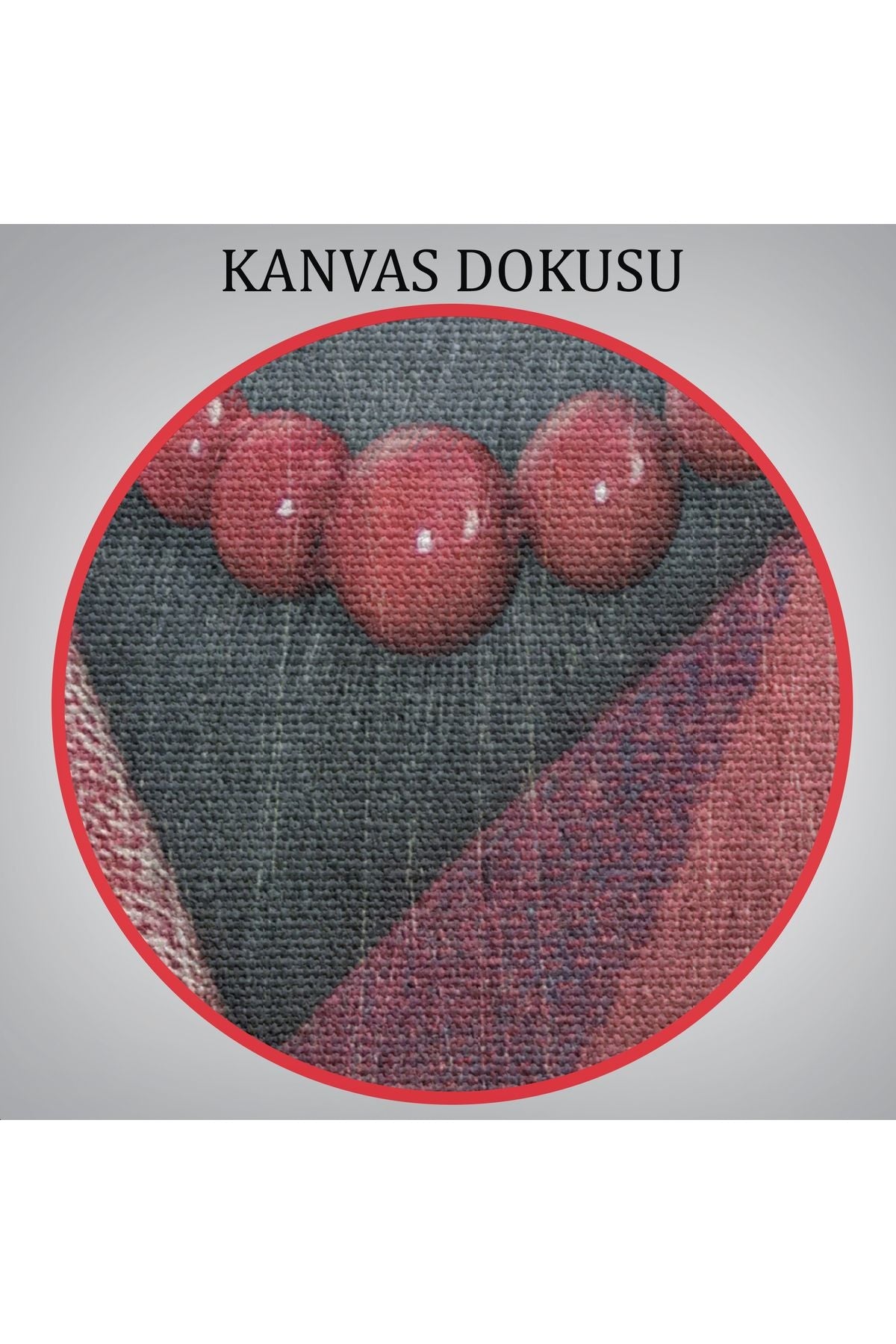 Kuş Kafalı İnsan Kanvas Tablo-4992