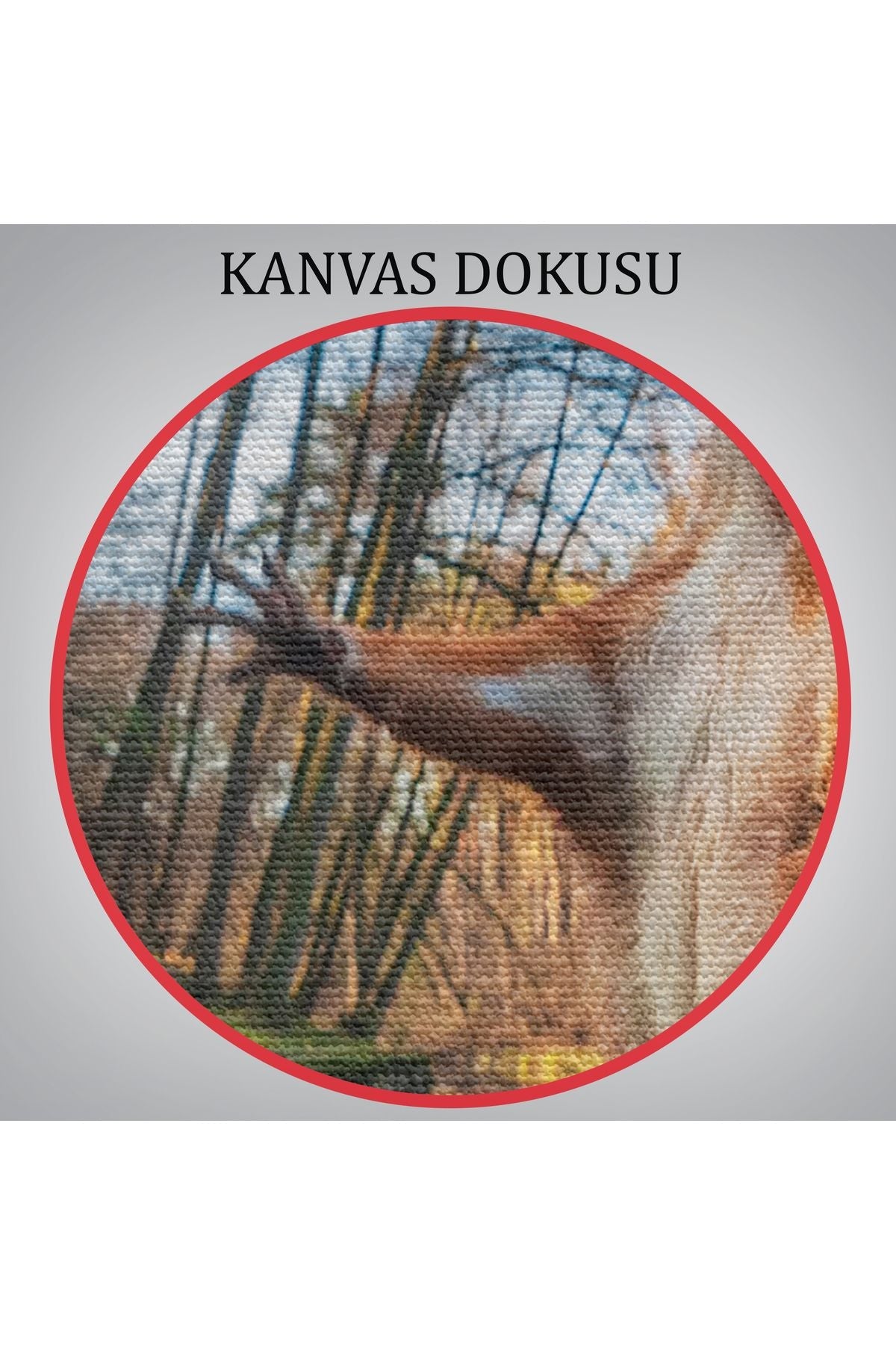Sincap Dekoratif Kanvas Tablo 1178