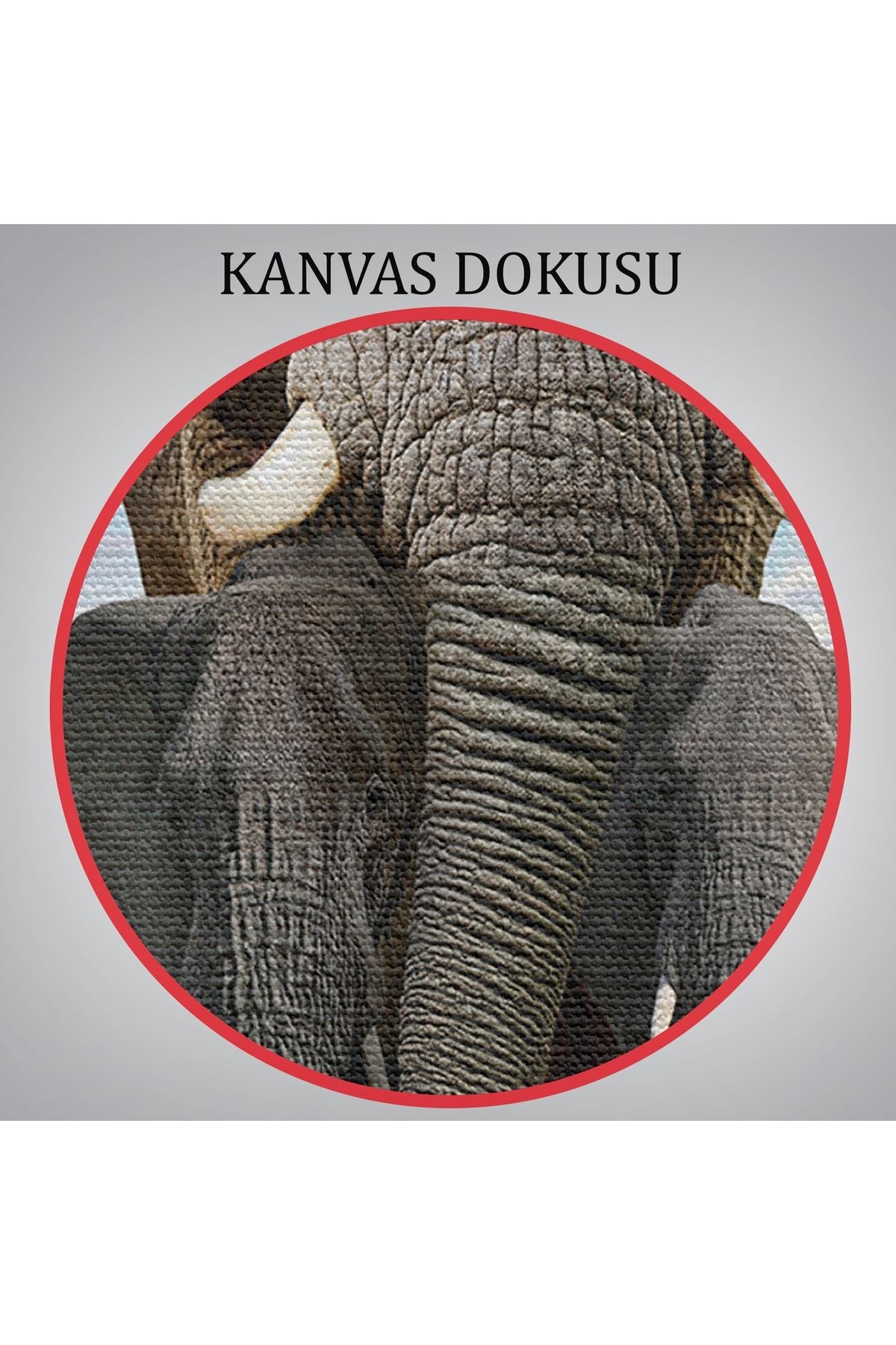 Fil ve Yavruları Dekoratif Kanvas Tablo 1134