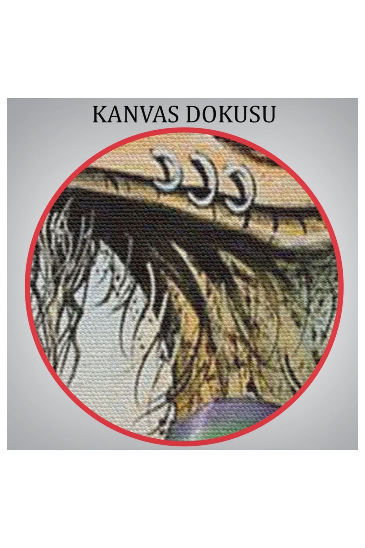 Kanvas, Duvar Tablosu, Dekoratif, Hippi Devekuşu Hayvan Temalı 6181 EGKNV