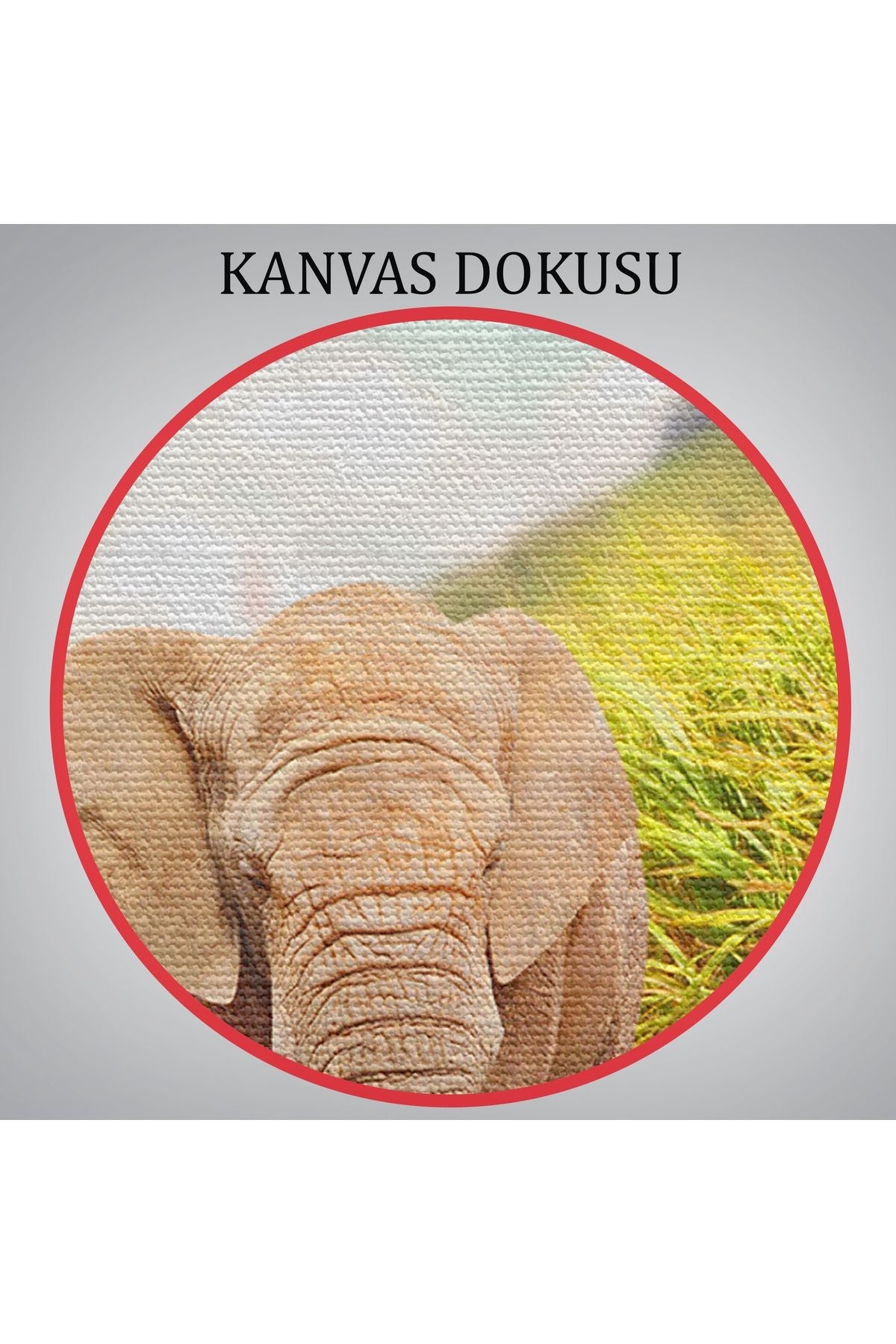 Fil ve Yavrusu Dekoratif Kanvas Tablo 1144