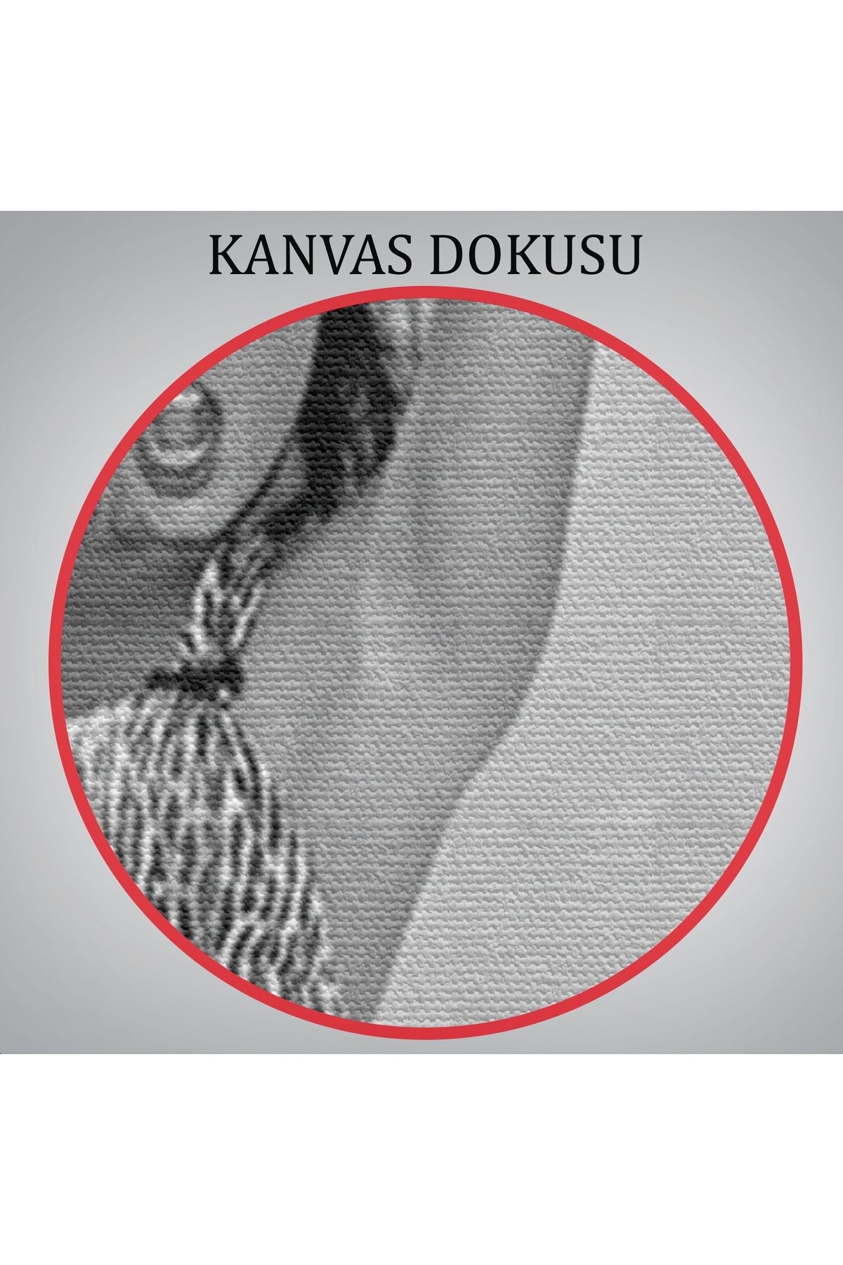 Leopar Bikinili Bettie Page Duvar Tablosu-6053