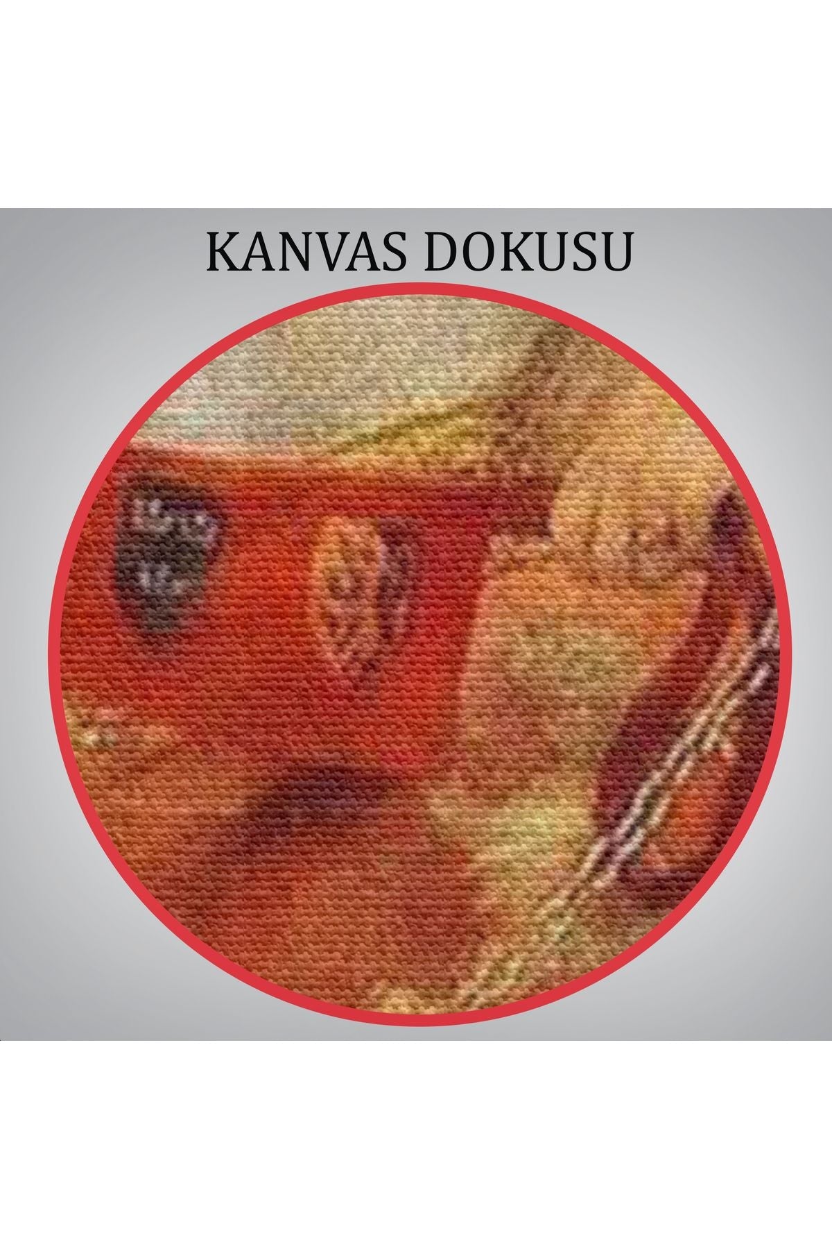 Lady Of Govida Boyama Seti Lady of Govida - Tanrının Armağanı Tablosu-6292