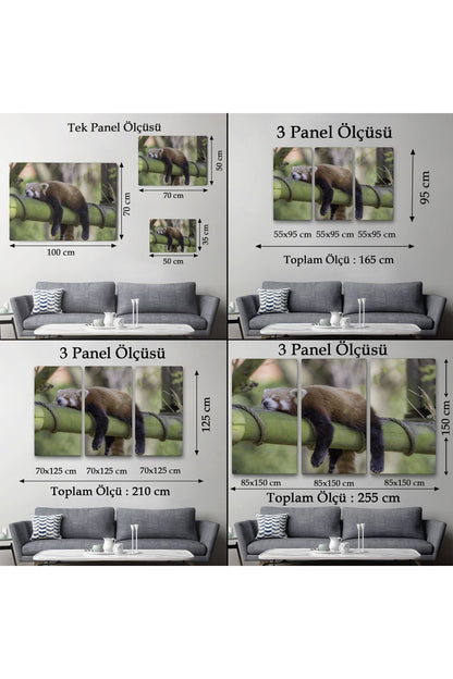 Kırmızı Panda Dekoratif Kanvas Tablo 1140