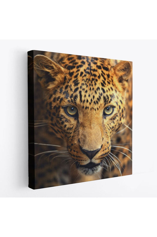Leopar Dekoratif Kanvas Tablo-5811