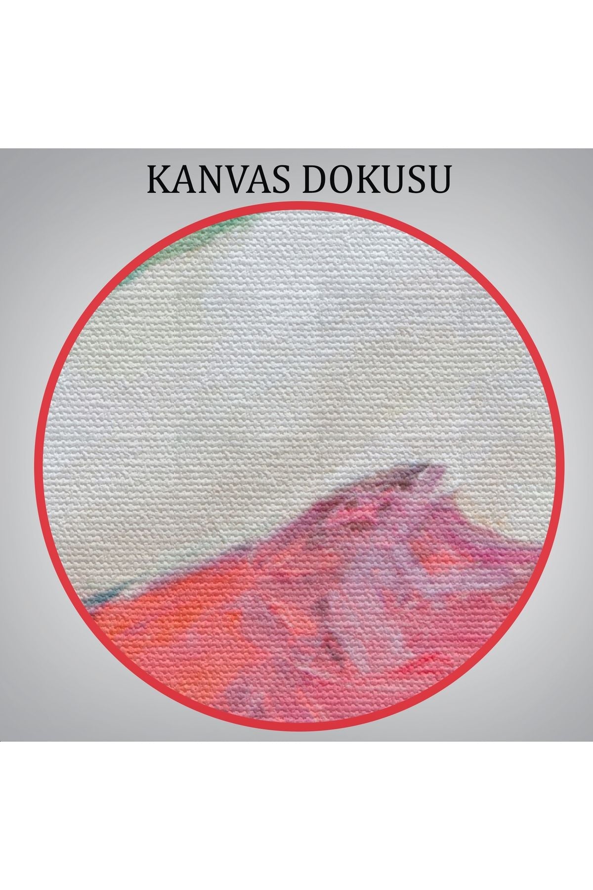 Keman Çalan Müzisyen Kadın Tablosu-5922