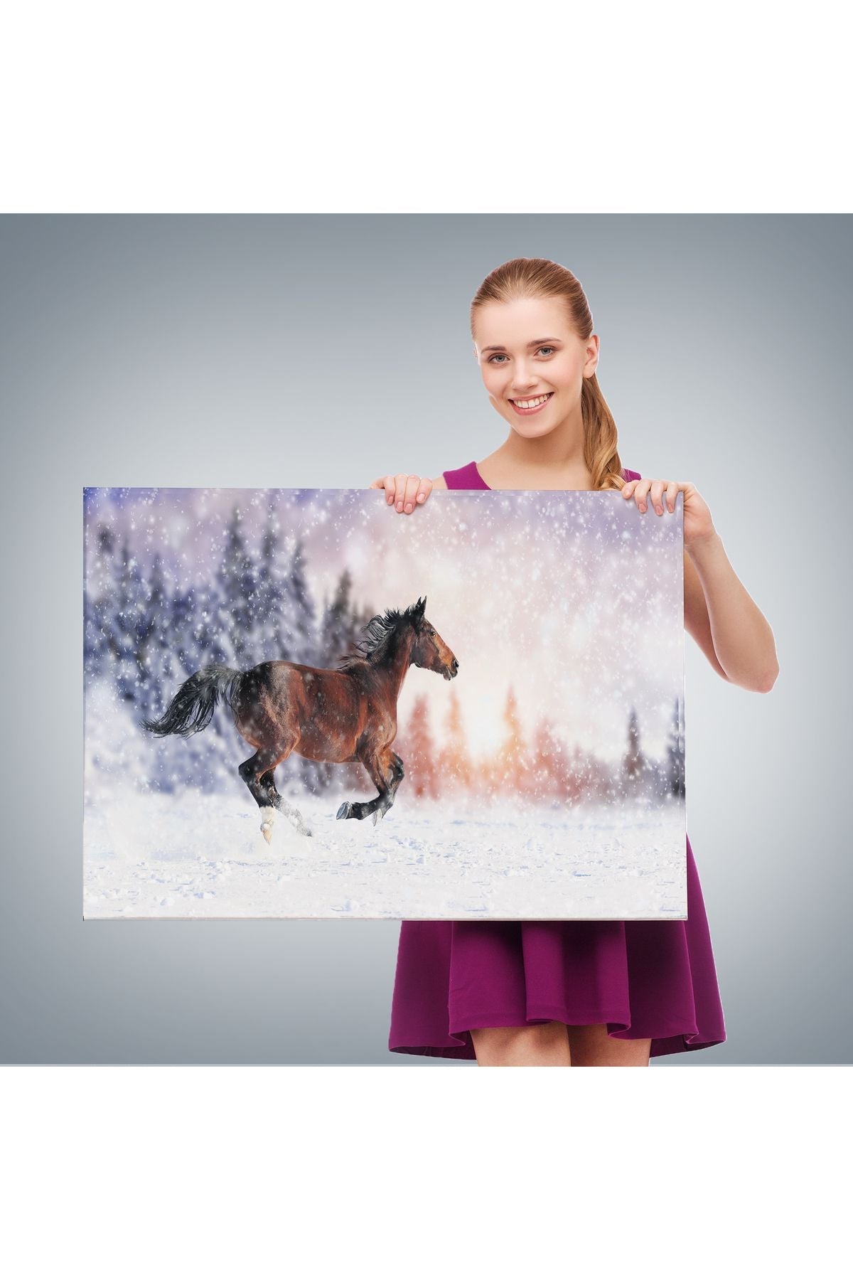 Karda Koşan At Dekoratif Kanvas Tablo 1133