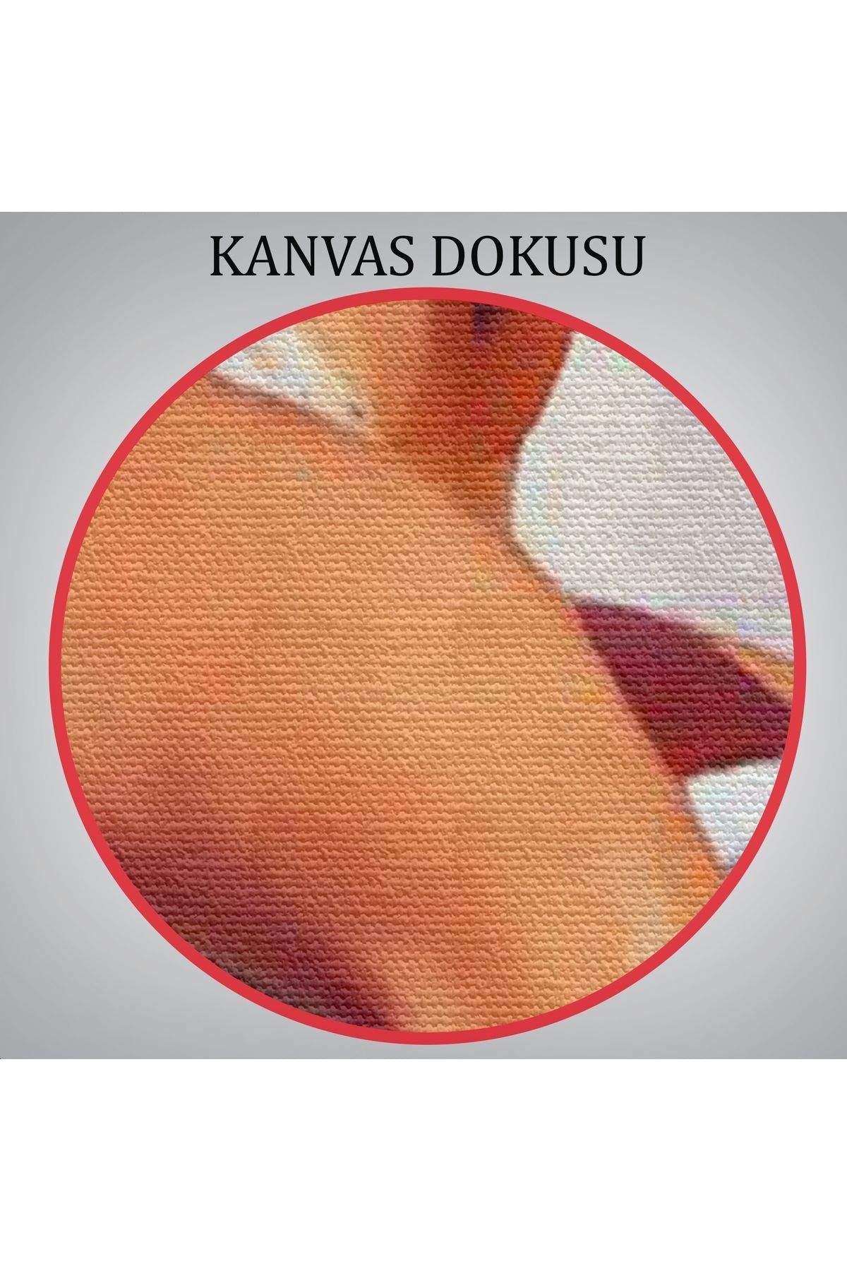 Tramplen Üstündeki Bikinili Sexi Kadın Dekoratif Duvar Tablosu-6157