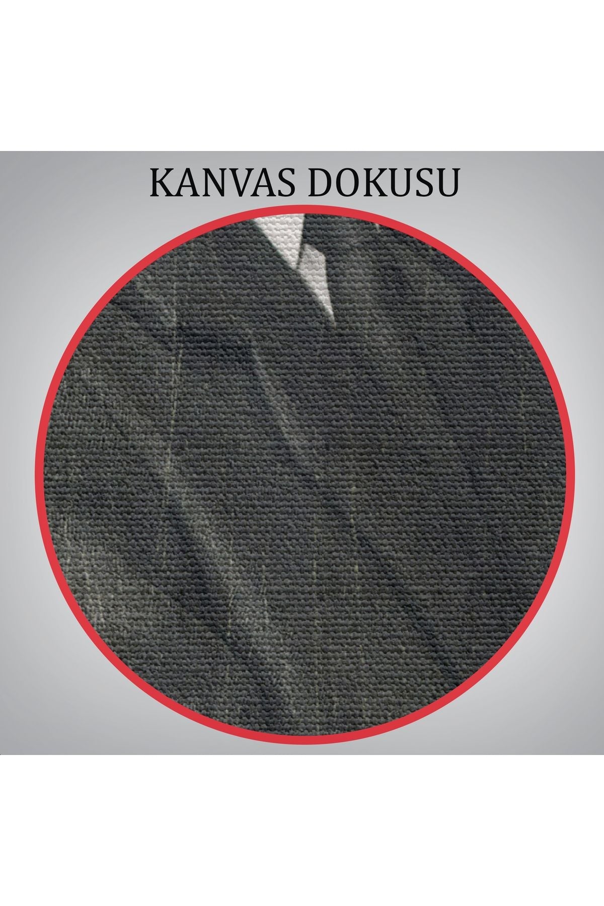 Fil Kafalı İnsan Kanvas Tablo-4995